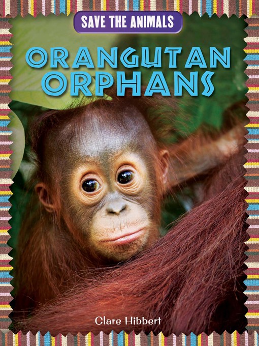 Title details for Orangutan Orphans by Clare Hibbert - Available